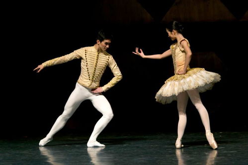 精品艺术齐绽放 白云机场迎新年文艺演出即将盛大启幕